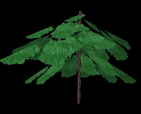 tree5.jpg